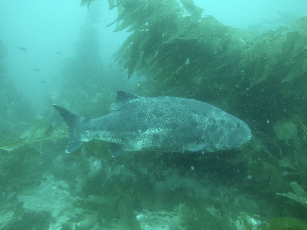 045bb660-a004-4d9e-a187-79f59875b989