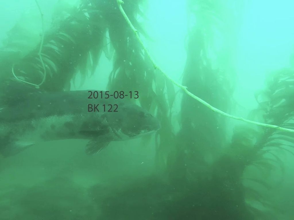 7e883440-cd73-4e23-913c-7b52d9e5ac62