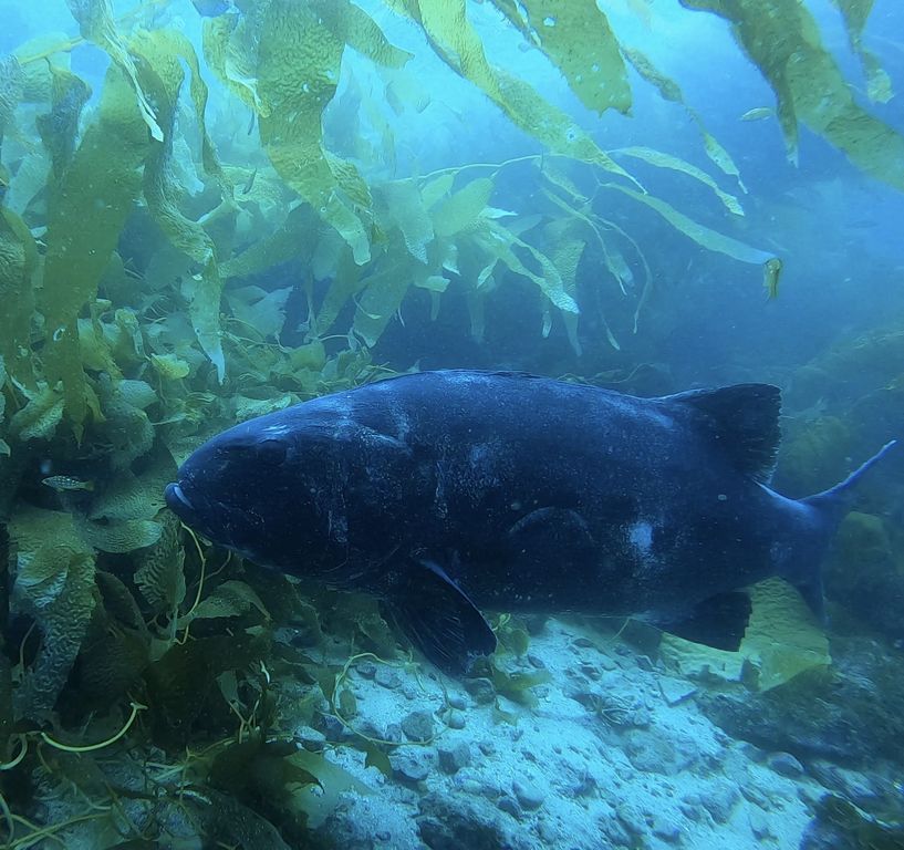 881c8ce1-22f0-448a-8a19-076dafdccbab