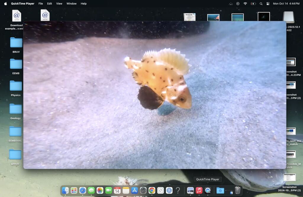 4497f18e-a0aa-47fc-8b89-8ed20bd15498