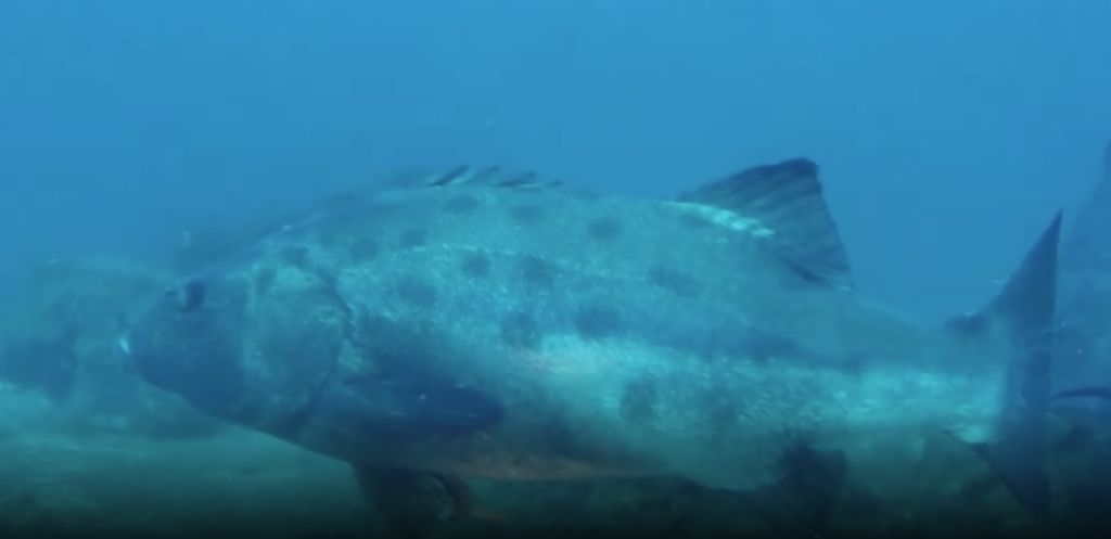 4808e944-00b5-4c76-b766-cd16d508680a