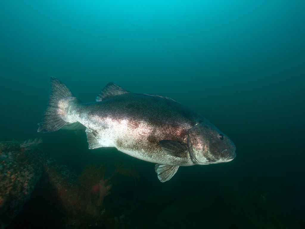 3473d10d-f63a-455b-b262-37d689de29b9