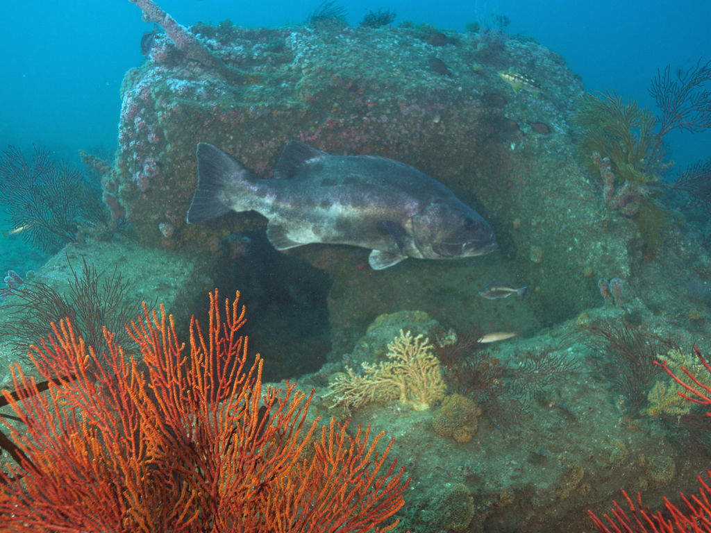 8c2462e0-e9be-4ebf-8e5f-6cd0a9262c1d