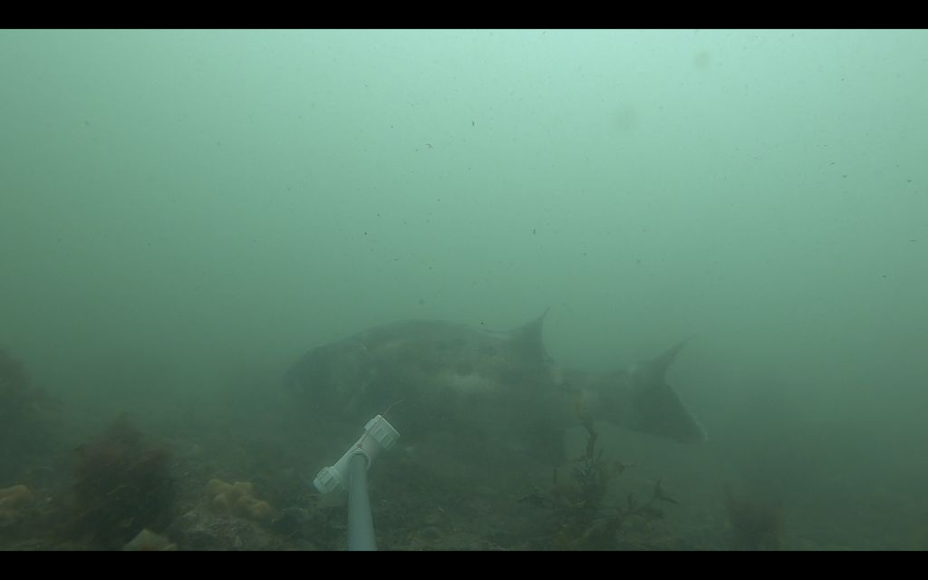 73959f10-0087-4608-851f-495cea6ecac0