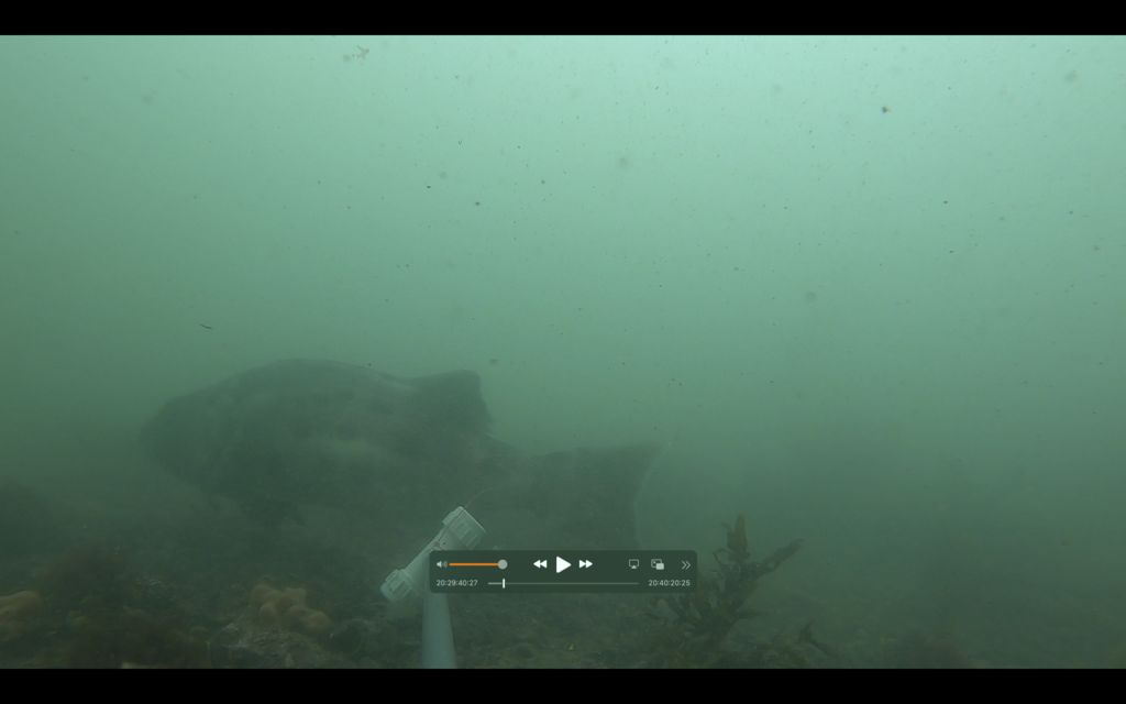 73959f10-0087-4608-851f-495cea6ecac0