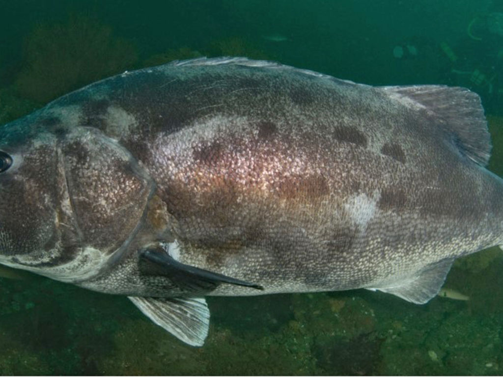 5a5190ef-b534-4922-9db5-7c0e16703490