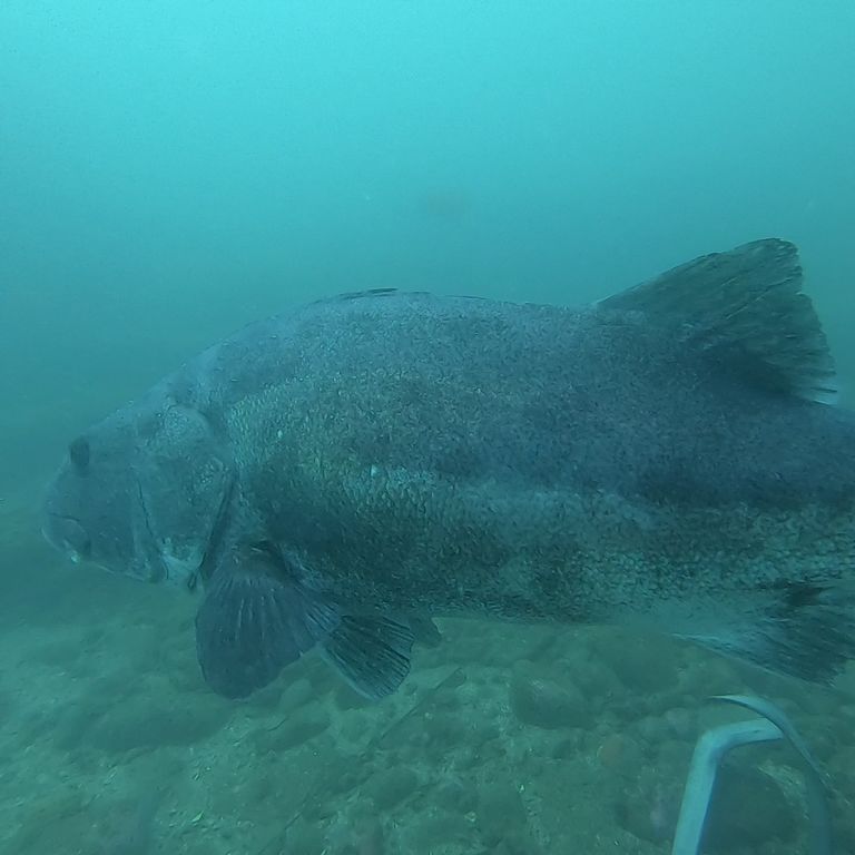 95dbf037-cc6b-4cdb-8c40-a81ced19e4cd