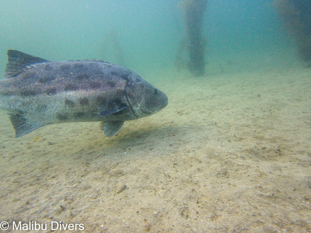 e85c0e0e-49c7-4b70-9c9e-2e43e5a26235