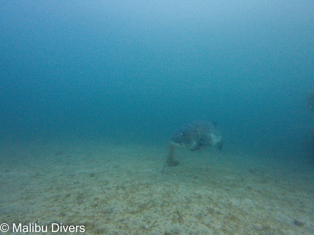 e85c0e0e-49c7-4b70-9c9e-2e43e5a26235