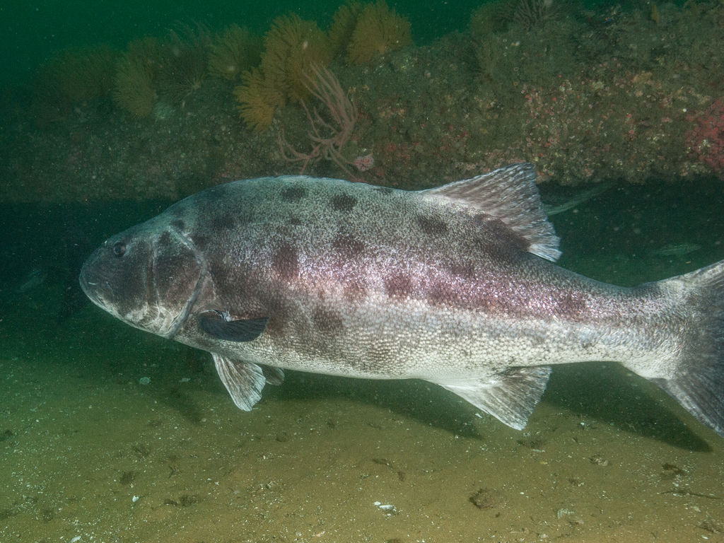 dea3ed5e-26b0-4415-b222-f50a7a884ef3