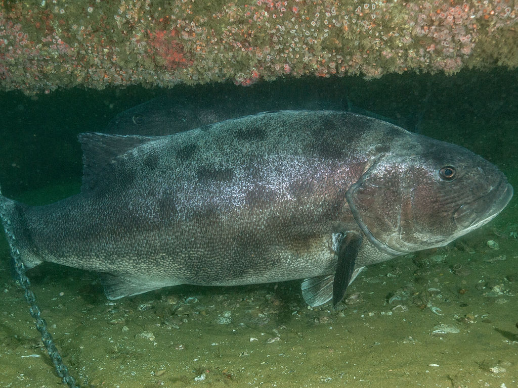 dea3ed5e-26b0-4415-b222-f50a7a884ef3