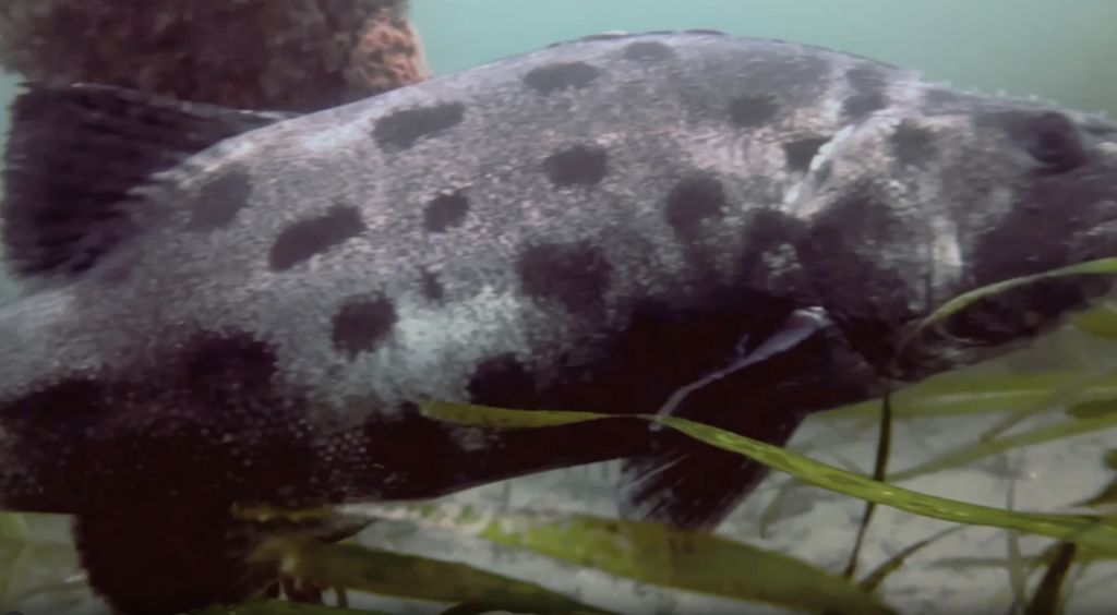 38f50a08-c33b-48b4-b978-1306511a1508