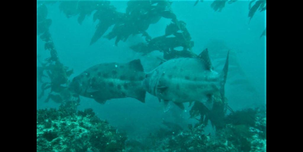 a06d1d29-d1fe-41a3-bf38-8f285bb9c811