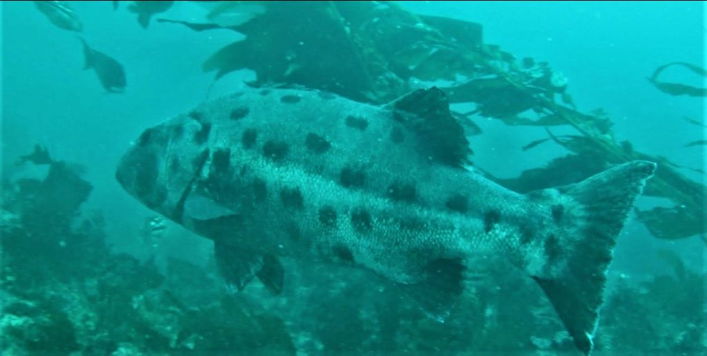 a06d1d29-d1fe-41a3-bf38-8f285bb9c811