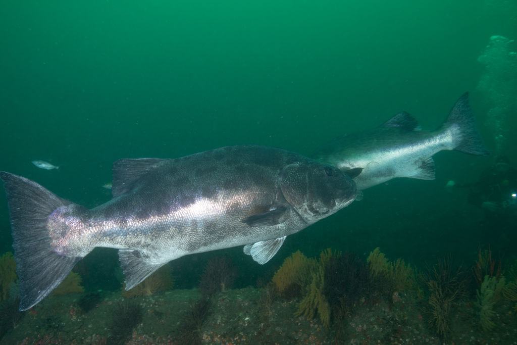 710173ec-c9f3-4f3e-91af-27cc5f188cb7