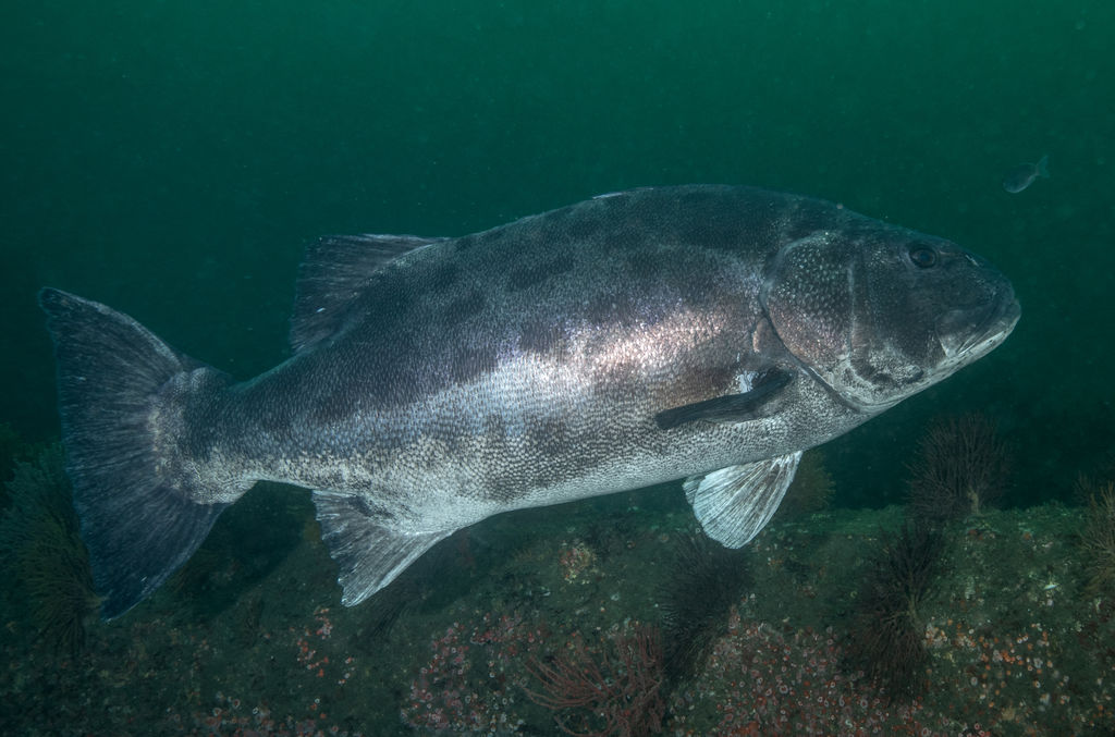 710173ec-c9f3-4f3e-91af-27cc5f188cb7