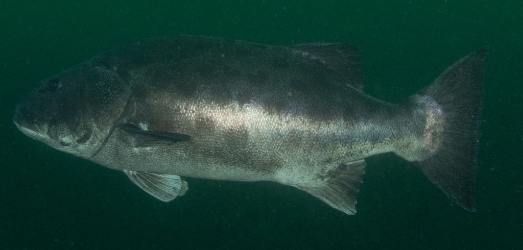 710173ec-c9f3-4f3e-91af-27cc5f188cb7