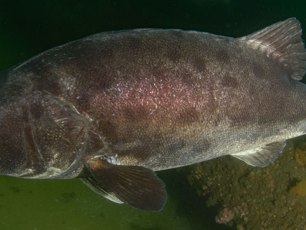 04c71dfc-7e64-4401-ae3e-fffade9f318a