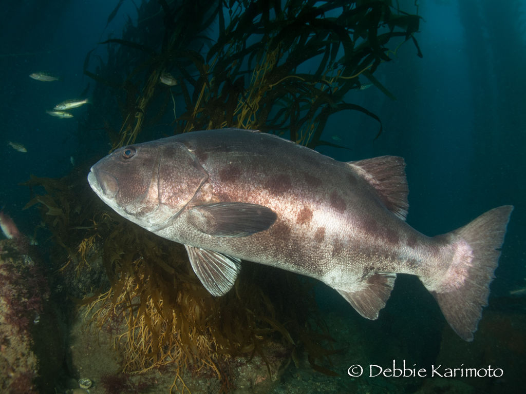 81523a1d-e0fe-4546-b8ff-e575de75dedd