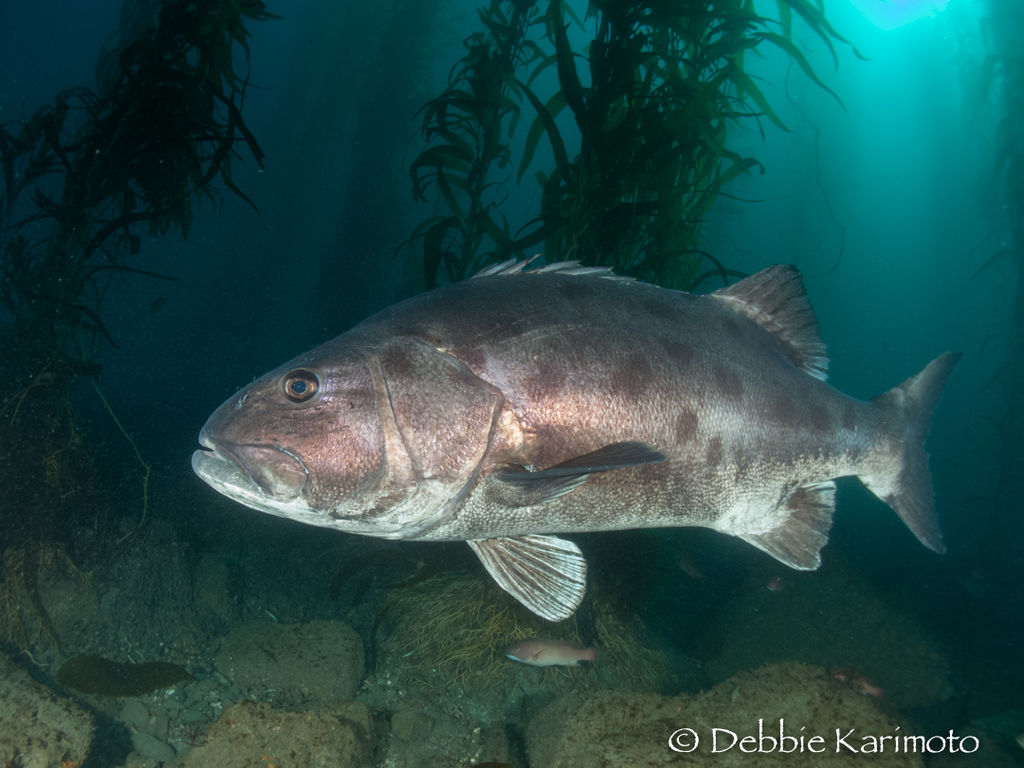 81523a1d-e0fe-4546-b8ff-e575de75dedd