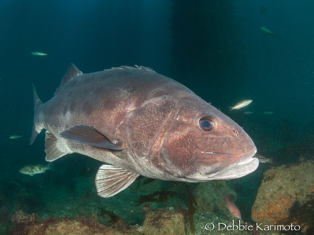 81523a1d-e0fe-4546-b8ff-e575de75dedd