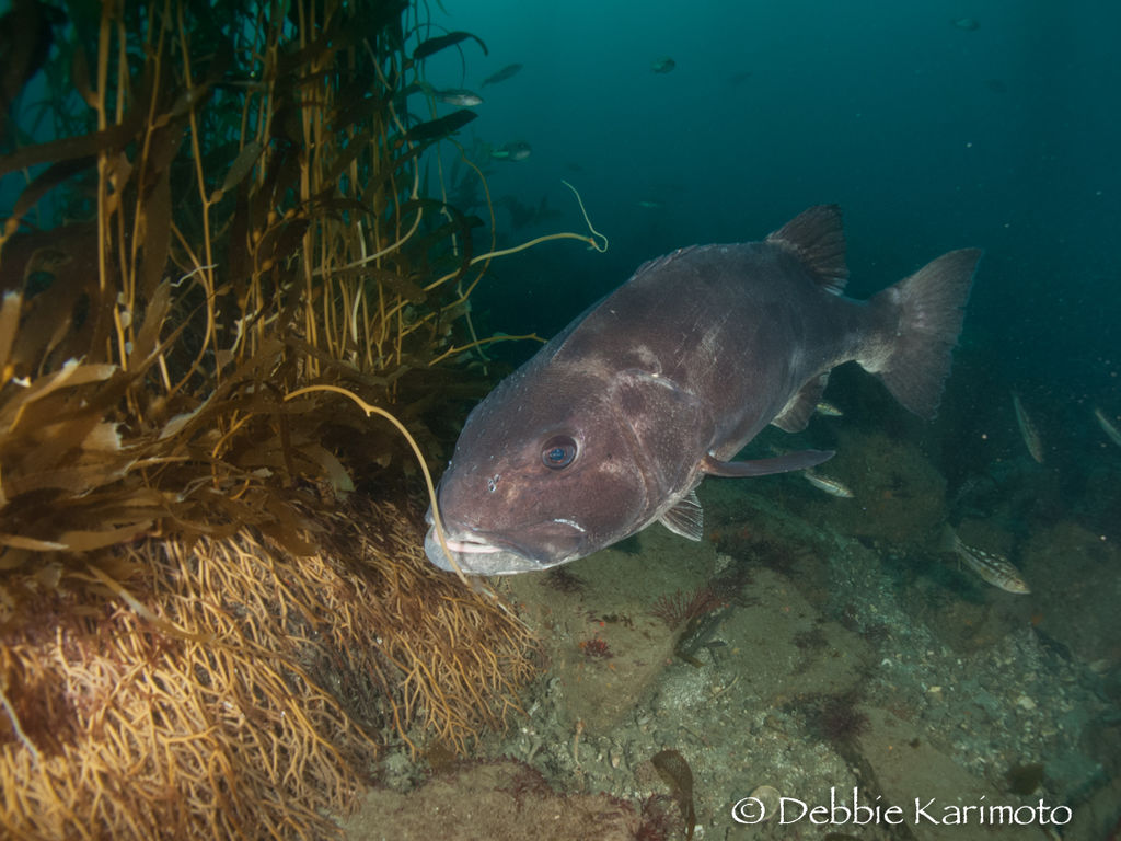 81523a1d-e0fe-4546-b8ff-e575de75dedd