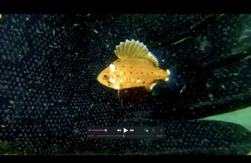 93b3004e-82d7-4969-a6bf-12be2a2a2ae8