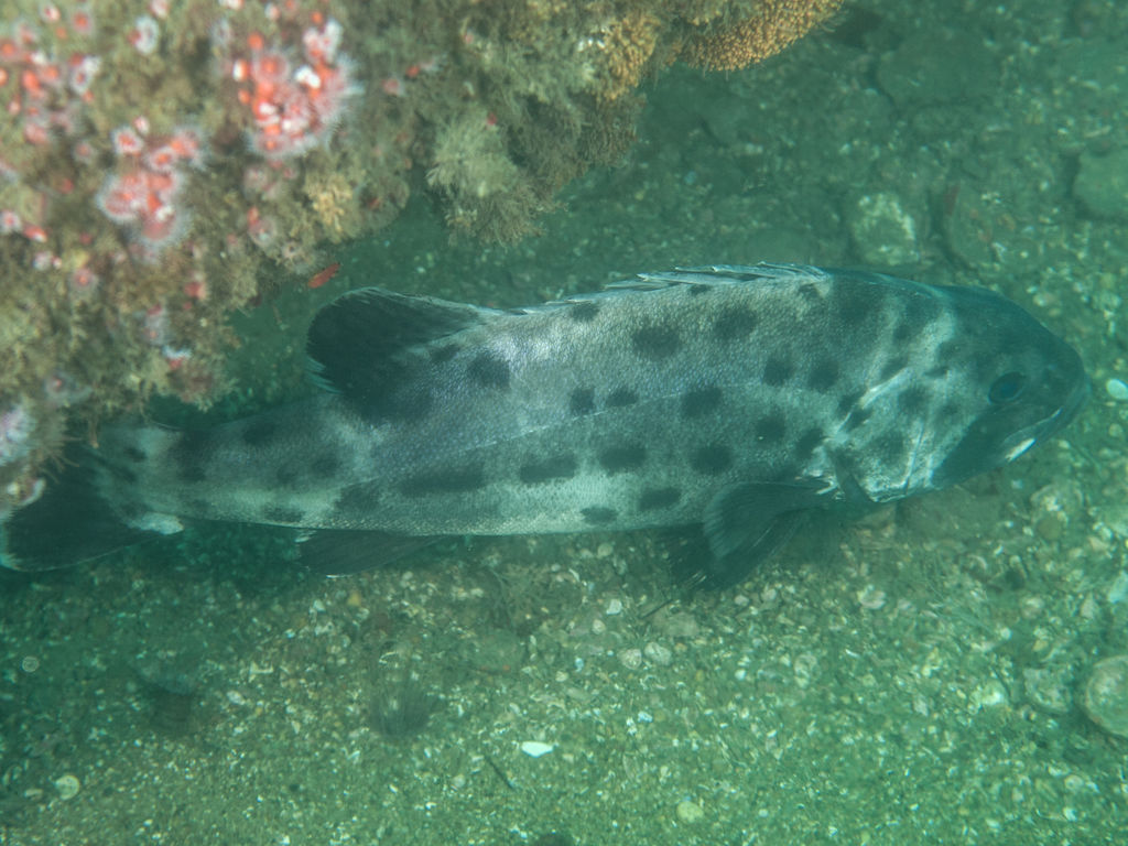 8946c7d9-d298-4167-ba3e-552e5707be31