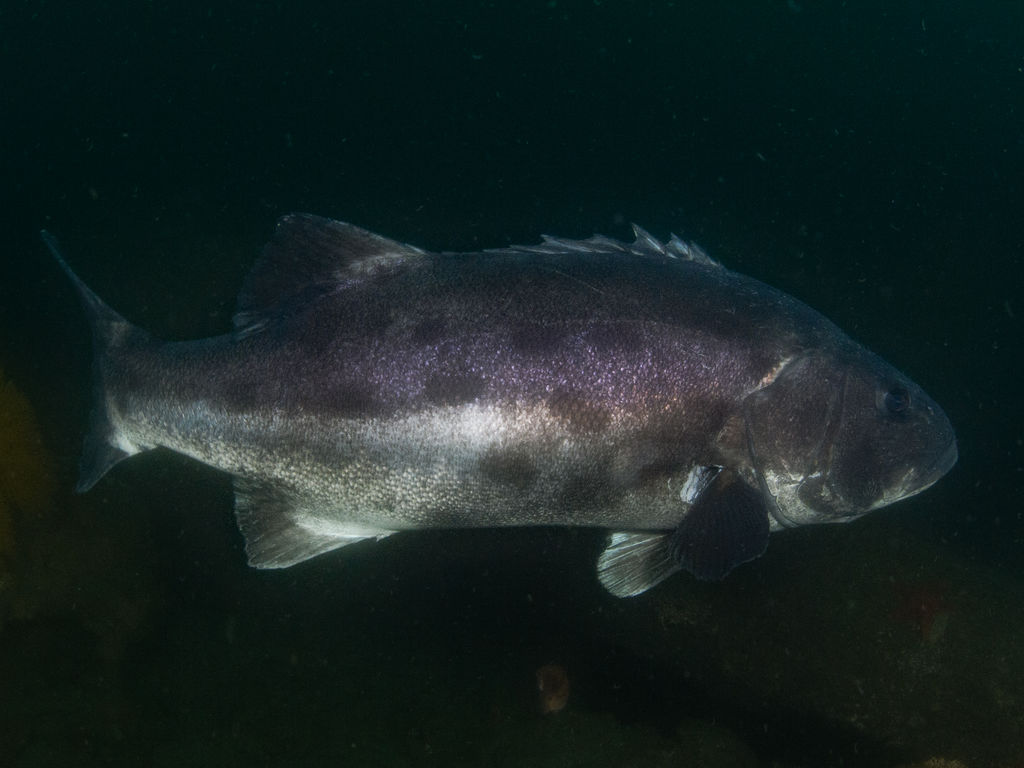 226506ed-8d73-4d8c-b988-a83c2794f0fc