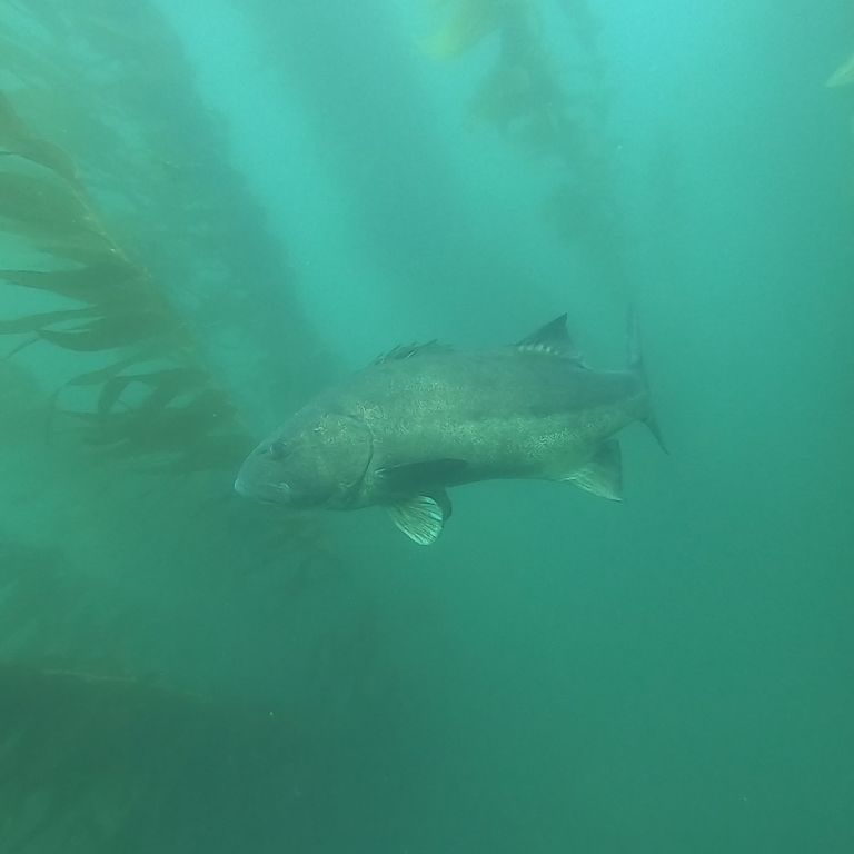 81d22142-545b-47b7-9734-231faf9c7742