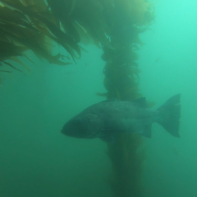 256eadb7-4868-4906-84d3-9bf98a81bdc6