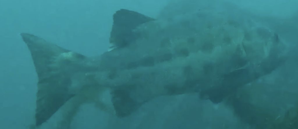 d0ab9745-b98a-475e-a206-ccb372ea95a5