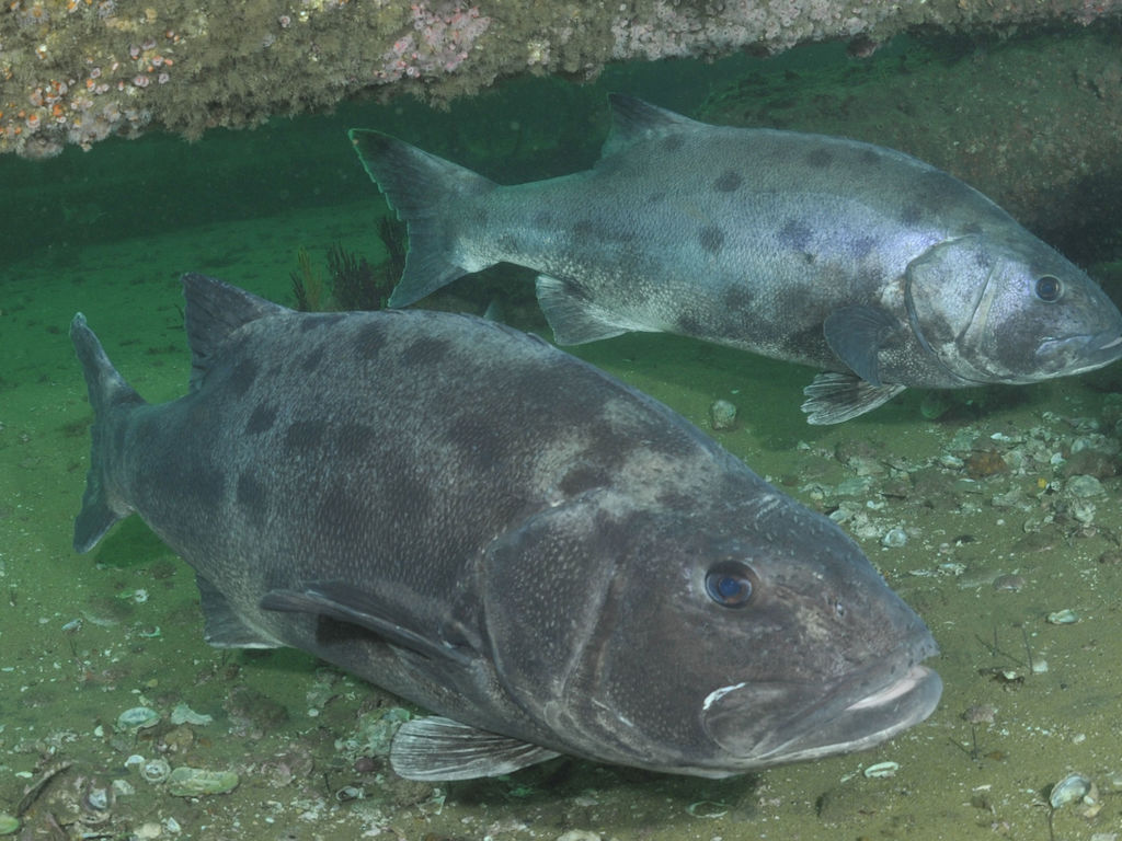 50439387-75e7-47b1-83e4-59224b080924