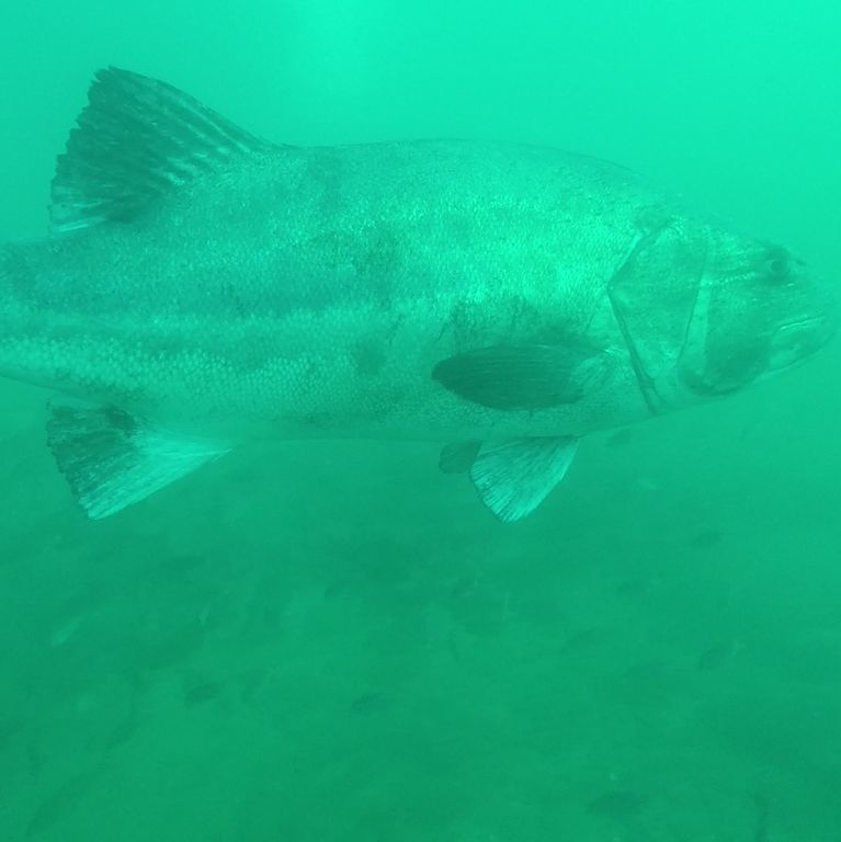 2f3d090c-9f5a-4873-a3c4-dbf6d139cb41