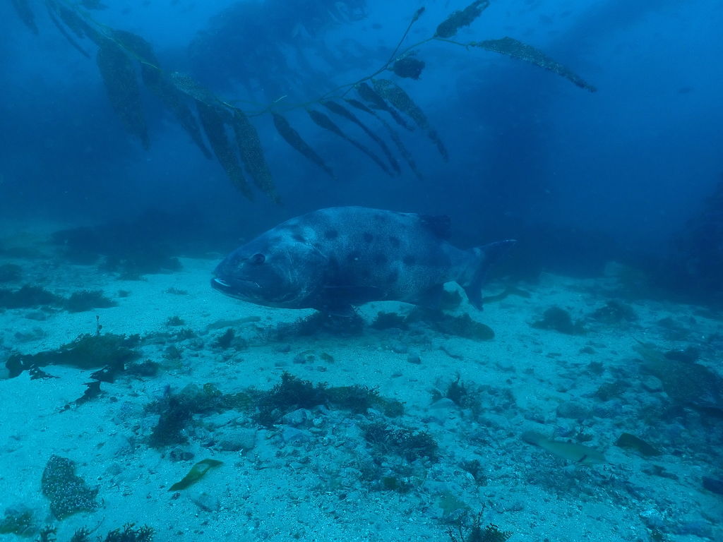 1f5a1a33-fcd4-4e5a-93d0-49354a5bab0c