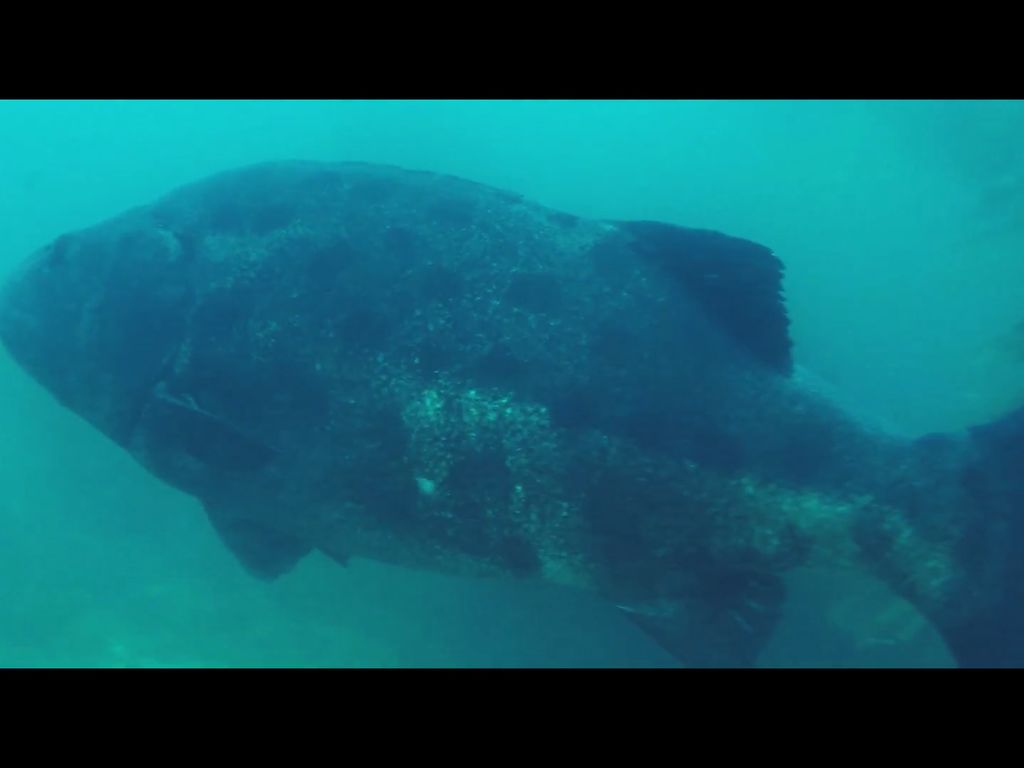 20b31356-91ac-4971-a1d4-941094f5abd3