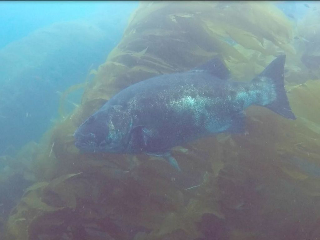 6d407a8e-440b-4840-927a-937f67f7b742