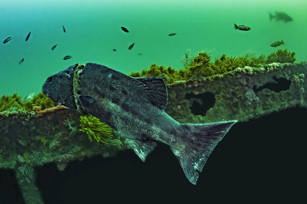 57b84b63-d7ba-4a7d-8857-e7530c5cd587