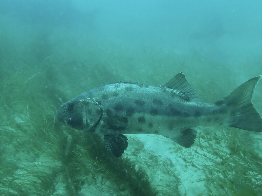 b482f6f7-63bf-495d-9cb8-9db819911b39