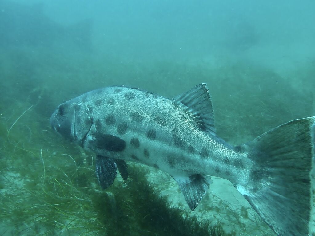 b482f6f7-63bf-495d-9cb8-9db819911b39