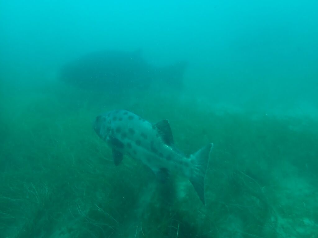 b482f6f7-63bf-495d-9cb8-9db819911b39