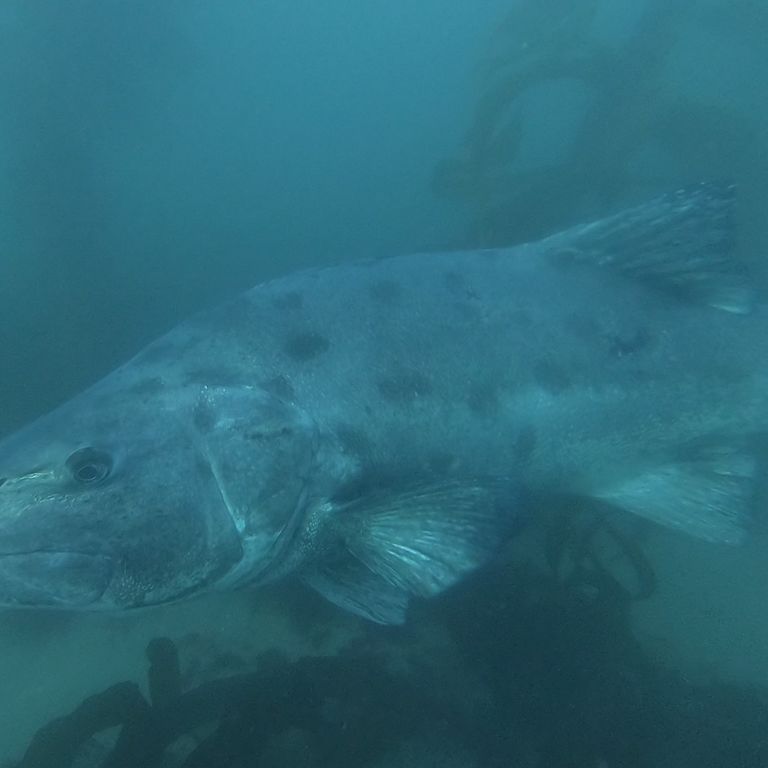 5e26d687-1d8f-424c-a07f-ff7c9a9281a2