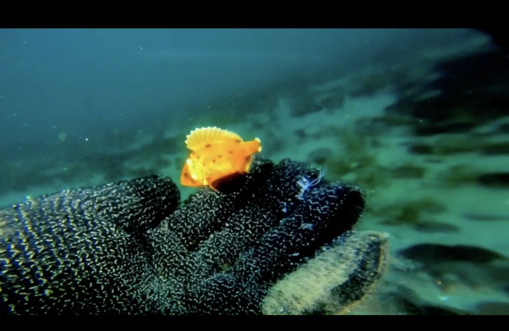 9c757ad5-49bf-4b6d-abdd-ebdc372a2856