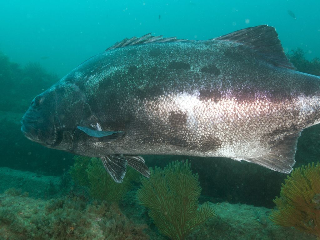 5a5190ef-b534-4922-9db5-7c0e16703490