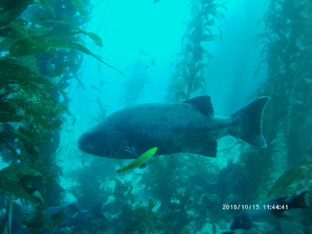 bf46db56-65c6-4c4c-9191-cd1c4d9a3e7b