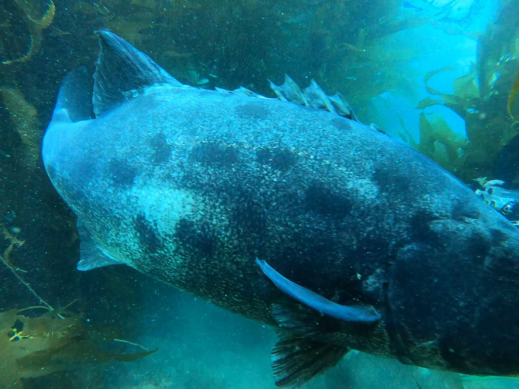 7ecf4934-218c-4b9f-adb3-3637f8b8e4d7