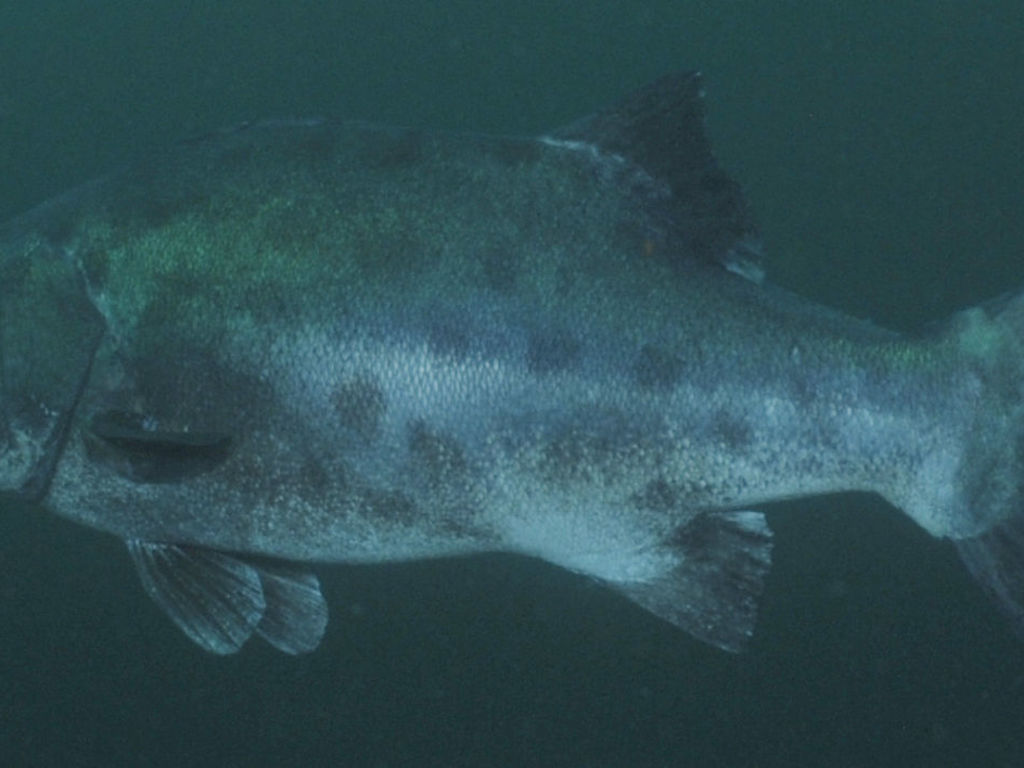 0e978472-d0cc-4a54-8f08-338eda2b48b2