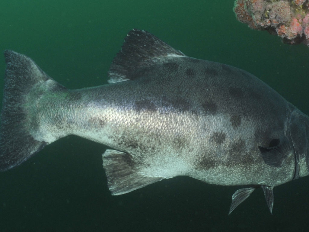 0e978472-d0cc-4a54-8f08-338eda2b48b2