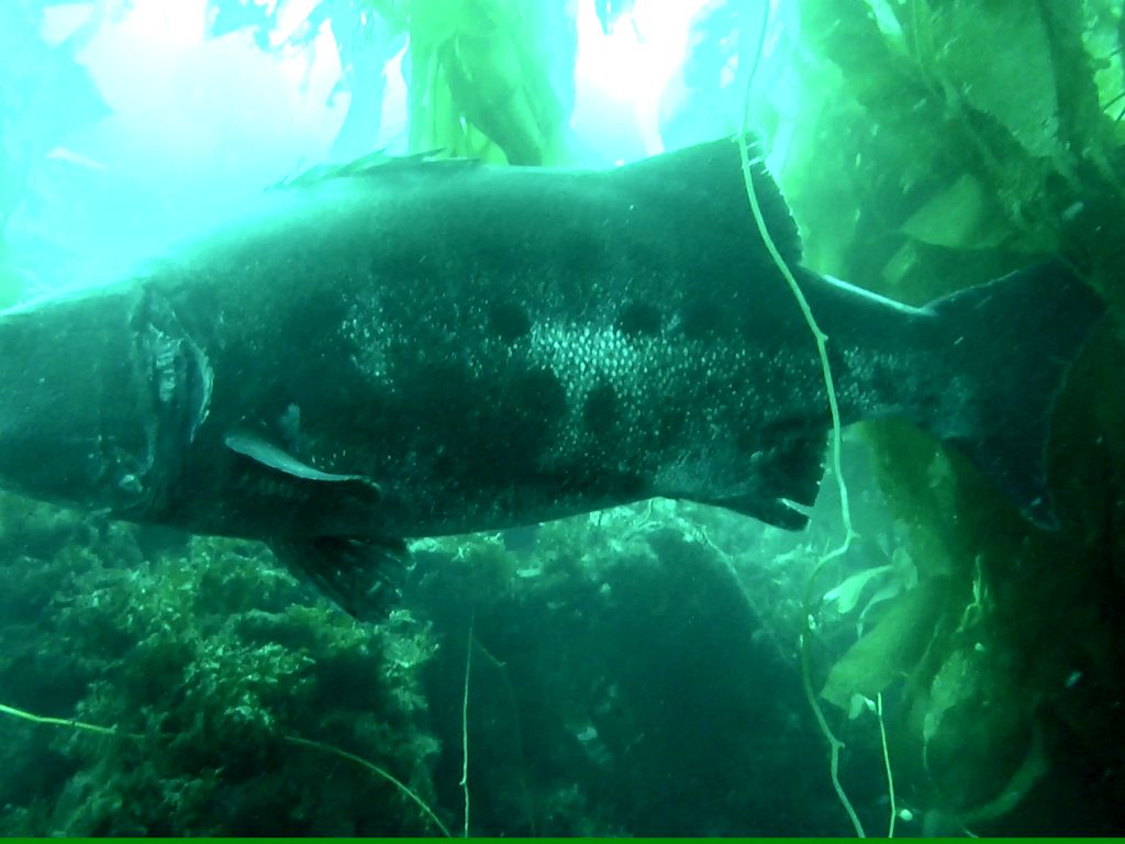 26c0d104-3f69-4d88-935a-20076757b035