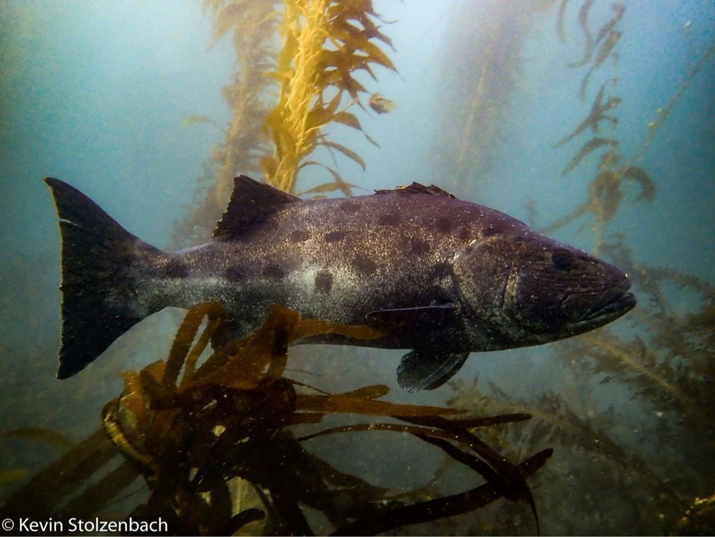 29ac72ed-8b49-4174-8c7f-8d8cd267cbec